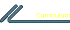 Curriculum