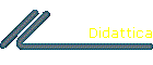 Didattica
